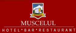 logo Muscelul